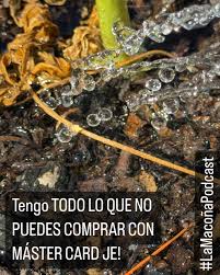 Tengo Todo Lo que No PUDES COMPRAR CON MÁSTER CARD JAJAJAJA 😝  😝😝😝😝😝😝😝😝😝