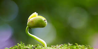 It can calculate the main market and occupation of unique green recreation sdn bhd all around the world. Iso Achieving Environmental Focus With Iso 14001 2015