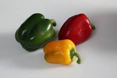 What is another name for capsicum?