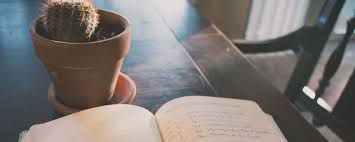 Let me know how it goes in the comments: 7 Step By Step Bible Study Methods Olive Tree Blog