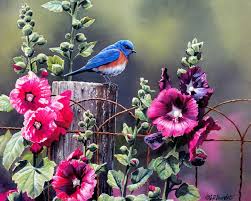We did not find results for: Birds Mobile Wallpapers Download Free Birds Wallpapers For Mobile Phones Page 1