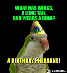 Party Party Riddle What Has Wings A Long Tail And Wears A Bow A Birthday Pheasant Birthday Jokes Cheesy Jokes Birthday Humor