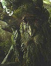 Treebeard would tell merry and pippin that the entwives would love their country. Treebeard Wikipedia