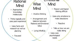 Image Result For Rational Mind Emotional Mind Wise Mind Dialectical Behavior Therapy Therapy Worksheets Dbt Therapy
