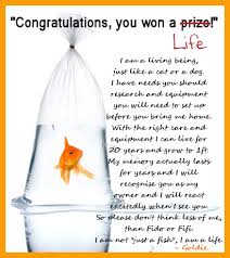 As Fair Season Starts Up Goldfish Care Fish Care Pet Fish