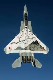 The Japanese Air Force Would Like To Formally Apologize For Their Paint Jobs Fighter Jets Airplane Fighter Jet