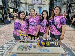 NVAC Volleyball League की प्रोफ़ाइल