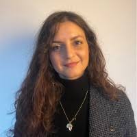 2100+ perfiles de «Arone»