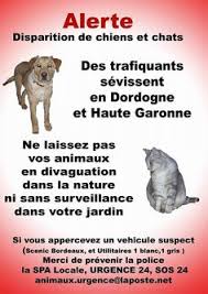 30 million friends) refers at the same time to a television program, a monthly magazine with its posters, and a foundation: Fondation 30 Million D Amis Ami Small Wild Cats Iberian Lynx