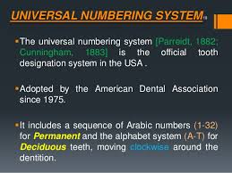 American Dental Association Tooth Numbering Chart