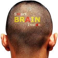Learning Early In Life May Help Keep Brain Cells Alive | Rutgers University