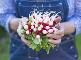 Simply order by 2 p.m. 11 Easy To Grow Vegetables And Herbs To Try If You Re New To Gardening Self