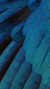 15 New Ios 9 Wallpapers Free Download Iphone 7 Stock Wallpaper Iphone 6s Wallpaper Iphone 5s Wallpaper