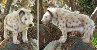Hansa Stuffed Plush Hyena Hyena Animals Animals Beautiful