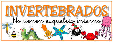 Los animales invertebrados son aquellos animales que no tienen una columna vertebral, por lo que no poseen un esqueleto interno articulado. Los Animales Invertebrados