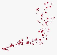 Pink Petals Png Svg Black And White Library Rose Petals Png Image Transparent Png Free Download On Seekpng Seeking for free rose petals png images?