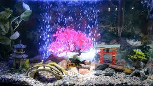 Aquarium decorations bridge antique fish tank decor ornament asian aquascaping. Asian Inspired Aquarium Decoration Youtube