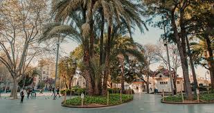 See authoritative translations of españa in english with example sentences, phrases and audio pronunciations. Plaza Espana Palma Abcmallorca Erleben Sie Mallorca Von Seiner Besten Seite