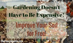 We did not find results for: 8 Simple Ways To Improve Your Garden Soil For Free