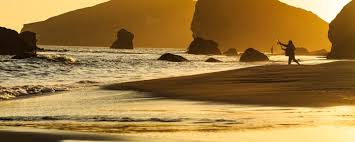Maybe you would like to learn more about one of these? Best Camping In And Near Harris Beach State Park