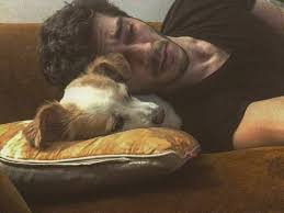 Who S There Dog Breeds That Dont Shed Hayat And Murat The Americans Tv Show
