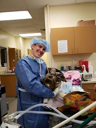 See full list on ziprecruiter.com Local Neonatologist Tapped To Care For Greenville Zoo S New Arrival