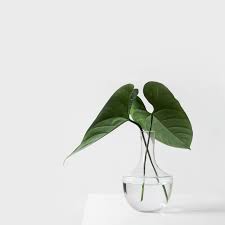 We have a massive amount of desktop and if you're looking for the best aesthetic wallpapers then wallpapertag is the place to be. Aesthetic Ipad Wallpaper Hd Ipad Wallpapers 4k Ipad Wallpapers 5k Free Download Ipad Pro Ipad Mini Ipad Air Ios Ipados Parallax Ipad Retina Wallpapers