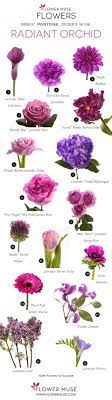 Flower Names By Color Flower Names Orchid Flower Purple Flowers We compiled 62 purple flowers and their care instructions.