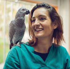 2017-2018 Annual Report