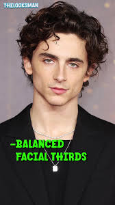 Timothy Chamlet Dreads