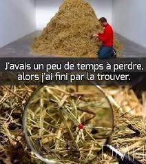 Epingle Sur Images Droles Humour