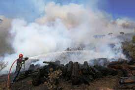The 2021 table mountain fire (also known as the rhodes memorial fire or newlands fire) was a major fire that started on 18 april 2021 in and around the table mountain national park area and the neighborhoods of newlands, rosebank, mowbray and rondebosch in cape town, south africa. Fcxndjx3b9ukhm