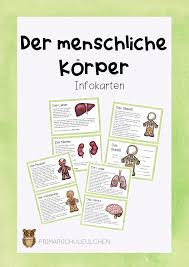 Der Menschliche Korper Infokarten Unterrichtsmaterial In Den Fachern Biologie Sachunterricht In 2020 Unterrichtsmaterial Sachunterricht Grundschule Biologie