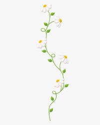The creativity options are unlimited. Embroidery Png Images Free Transparent Embroidery Download Kindpng