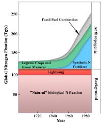 the nitrogen cycle earth science visionlearning