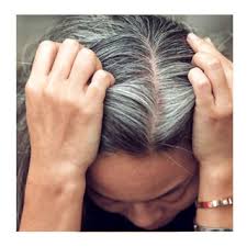 What makes grey hair grey? Grey Hair All You Need To Know Iconic Hairdressing Evesham