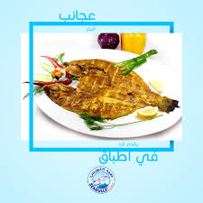 مطاعم صيد النورس Seagullscatch1 Twitter