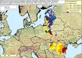 Die freie und zeitlich unbeschränkte. Afrikanische Schweinepest