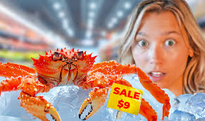 Let's feed my Axolotl 🤯