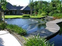Hasil gambar untuk taman indah rumah