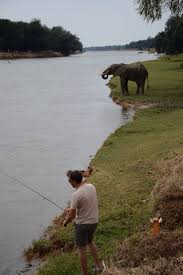 Mana Pools National Park National Parks Zambezi River Campsite