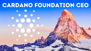 Dear cardano community, the purpose of this post is to inform you about the cardano project and tips on how to stay safe welcome to cardano! Cardano Foundation Hires New Ceo Sentiment Of Crypto Market Youtube