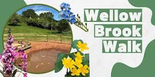 June Work Day at Wellow Brook Walk