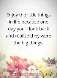 Enjoy The Little Things In Life For One Day You Ll Look Back And Realize They Were The Big Things Life Quotes Enjoy The Little Things In Life Because One Day You Ll Look Back And Realize They Were The Big Things Life Quotes Best Quotes Wise Words