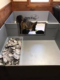 Best buy provides online shopping in a number of countries and languages. Vom Ledgemere German Shepherds Added The Play Area To The Whelping Box Giving A Try At Potty Box Training So Far So Good All Poop Has Been In The Box And