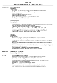 Wow your future employer with this simple cover letter example format. Customer Greeter Cv October 2021