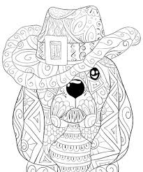 Llama easy adult coloring animals. 15 492 Adult Coloring Pages Animals Stock Photos And Images 123rf