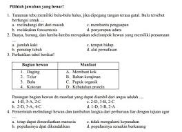 Kunci jawaban usp 4 ipa. Kumpulan Soal Sukses Un Sd Ipa Paket 4 Dan Jawaban Cari Soal