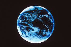 Voir plus d'idées sur le thème jour de la terre, activités jour de la terre, terre. 250 Activites Pour Le Jour De La Terre La Presse