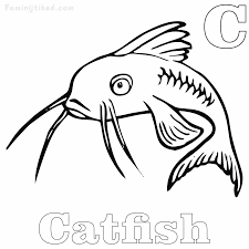 Top 25 fish coloring pages for preschoolers: Catfish Coloring Pages Printable Free Pdf Free Coloring Sheets